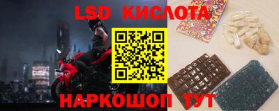 шишки Гатчина