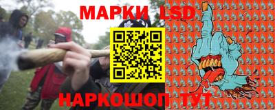 шишки Гатчина