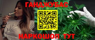 шишки Гатчина