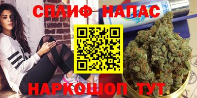 шишки Гатчина
