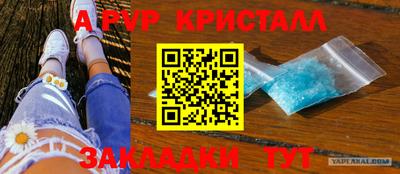 шишки Гатчина