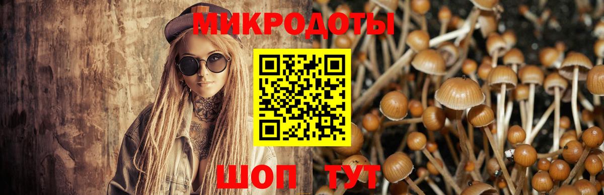 Галлюциногенные грибы GOLDEN TEACHER  Вход с VPN  Киреевск 